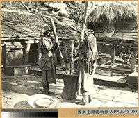 藏品(排灣族杵小米之婦女)的圖片